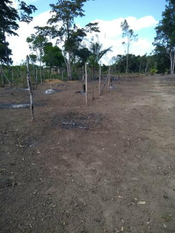 Terreno abreu elima - Foto 3