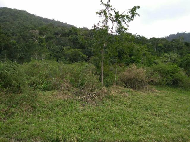 Terreno grande e barato em Maricá - Foto 4