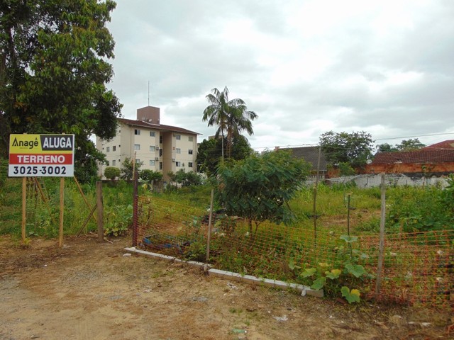 Terreno para alugar por R$ 1500.00, 726.60 m2 - SAGUACU - JOINVILLE/SC - Foto 4