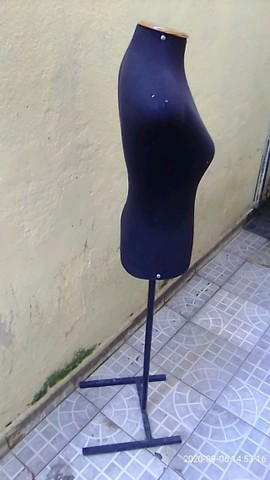 bustos femininos 