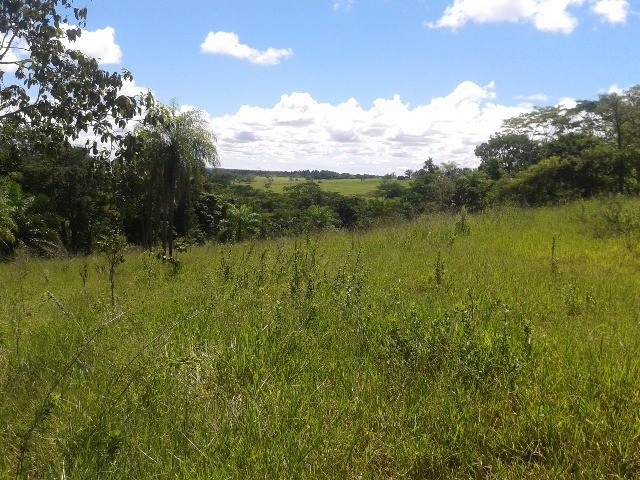 50 hectares a 25 Km de Campo Grande - Foto 7
