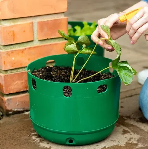 Kits Vaso Pleno c/ Prato Para Plantio Produção Agro Estufa - VALOR 500 UNIDADES