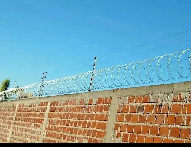 Cerca elétrica e concertina 