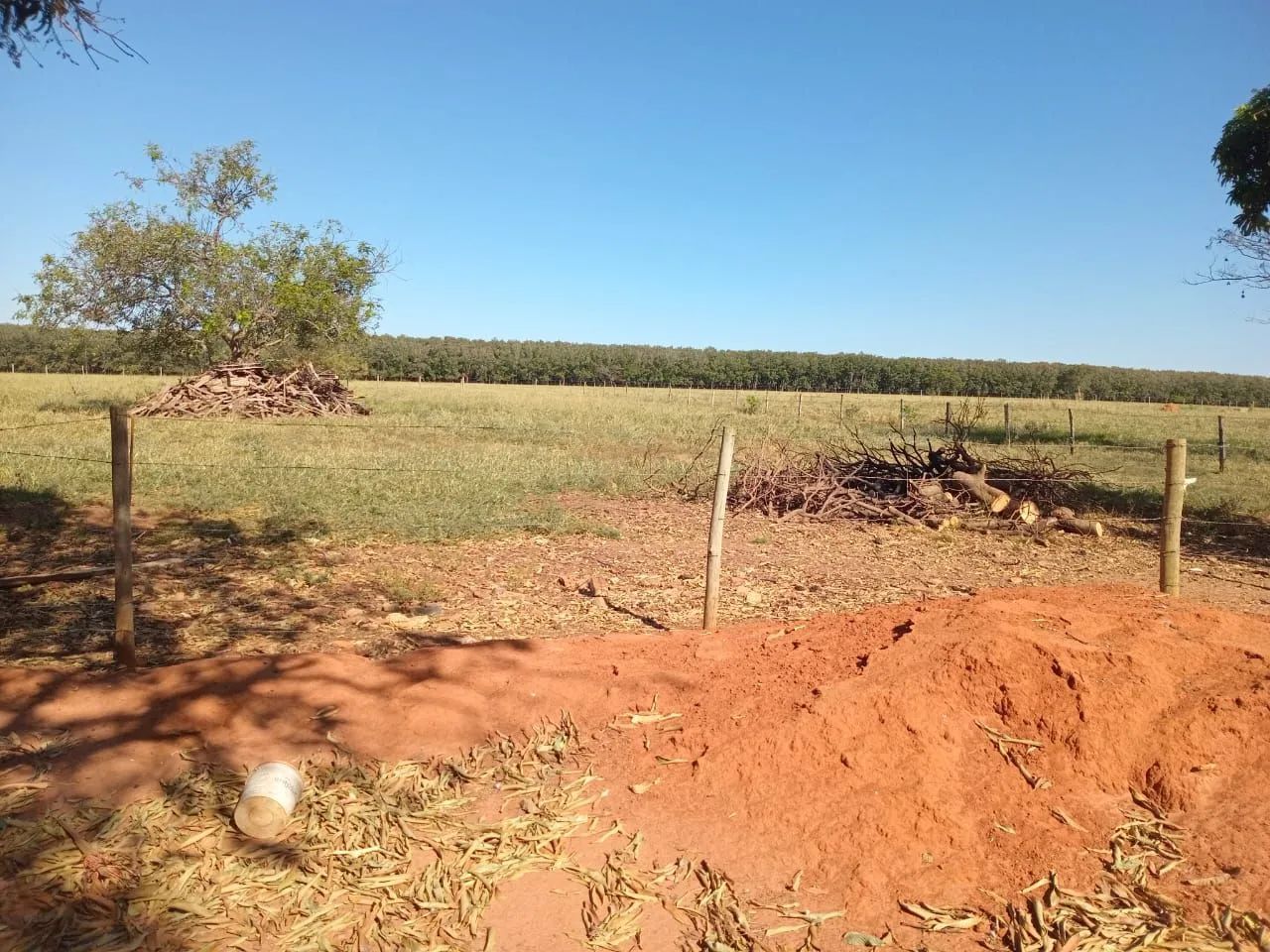 Sitio em Buritama sp - Foto 3