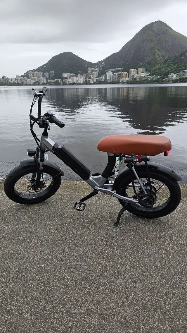 Ebike Lev Cruizer