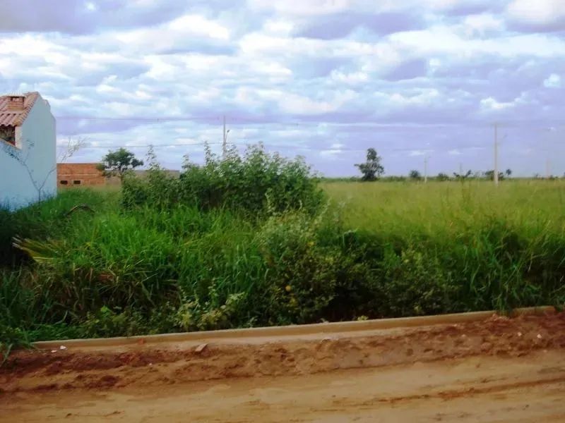 Terreno para Venda em Paulicéia, LOTEAMENTO JUPIAZINHO - Foto 2