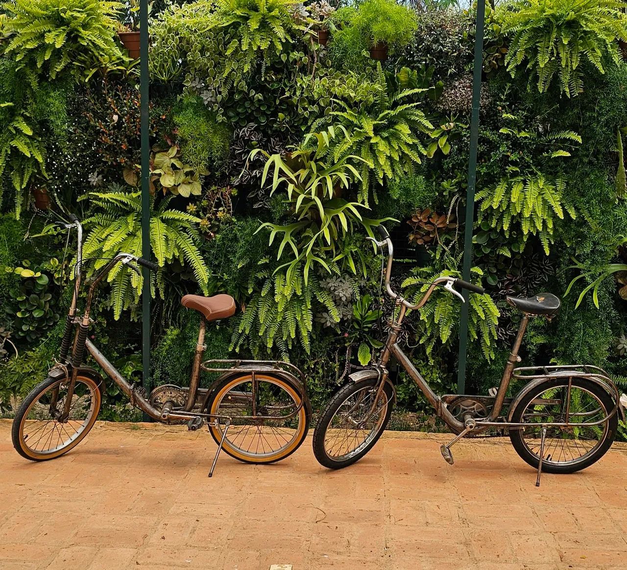 Vendo 02  bicicletas berlinetas 