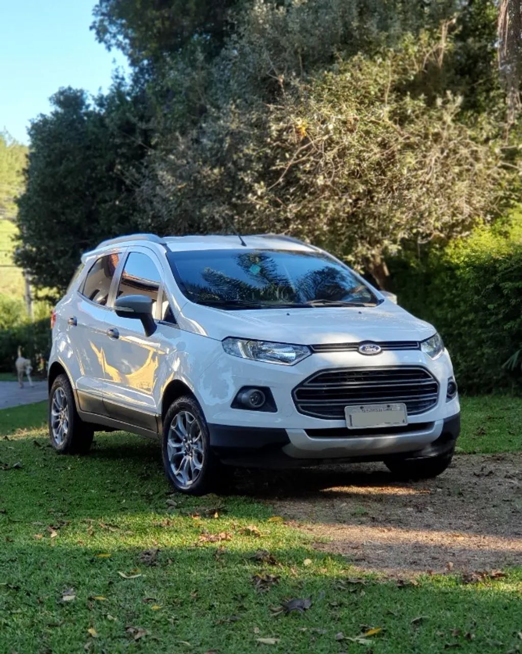 Ford Ecosport Freestyle 1.6 16v MANUAL - Completa