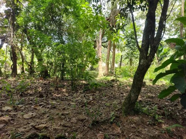 Chácara à venda em Igaratá, 2.000M² - Foto 5