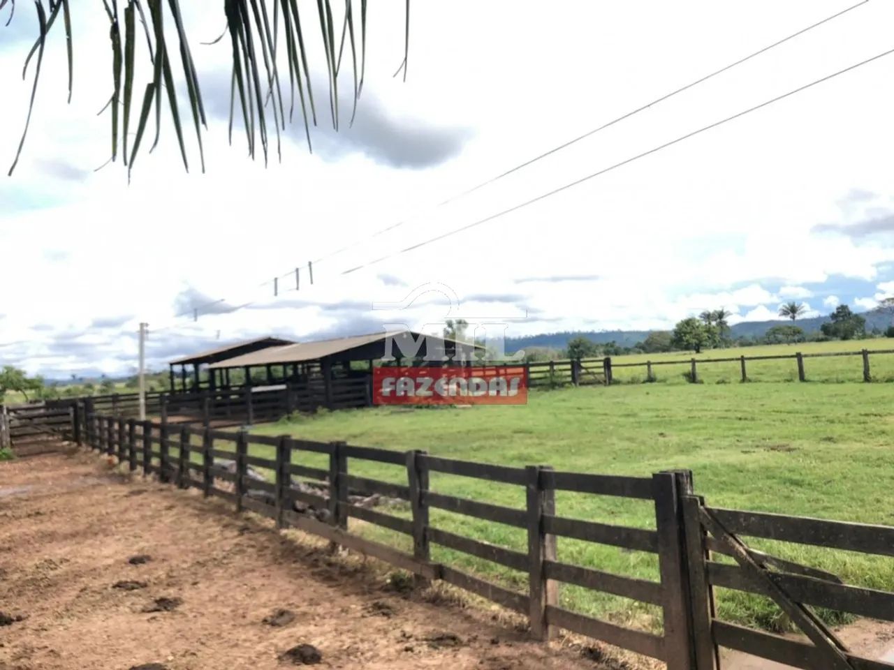 Fazenda 400 Alq. (1.936 Há) São Felix do Xingu  PA - Foto 5
