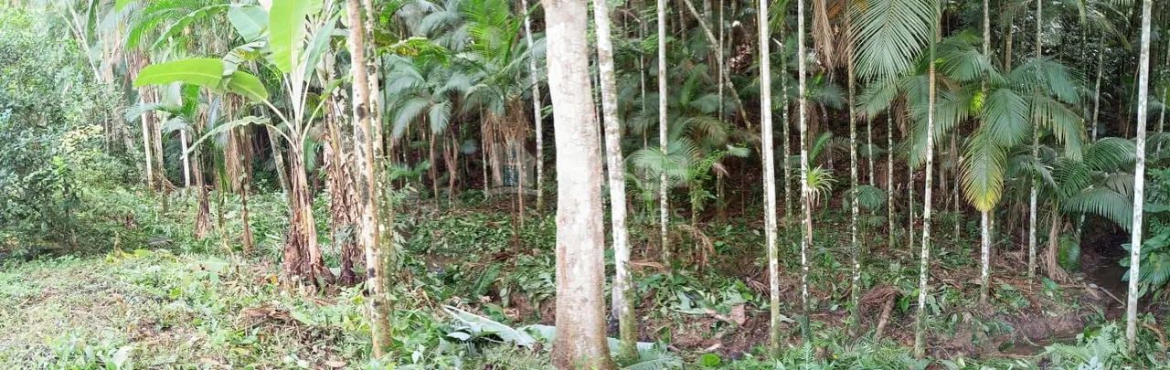 Terreno à venda em São João Batista/SC - Foto 4