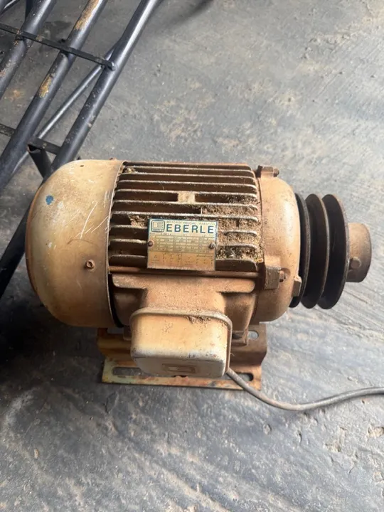 Motor trifásico