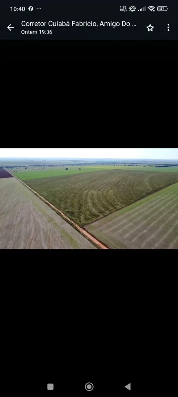 Fazenda de arrendamento 872hsc em camapuã MS.  10 SC. Por hec tá em pasto a 2 anos só.