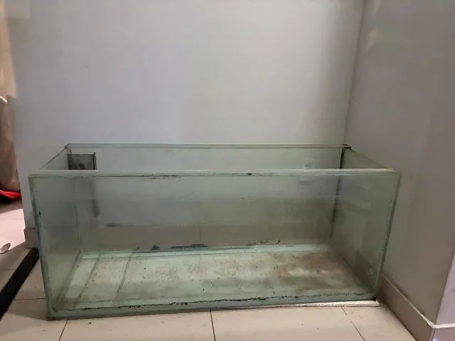 Aquário de Vidro - Foto 5