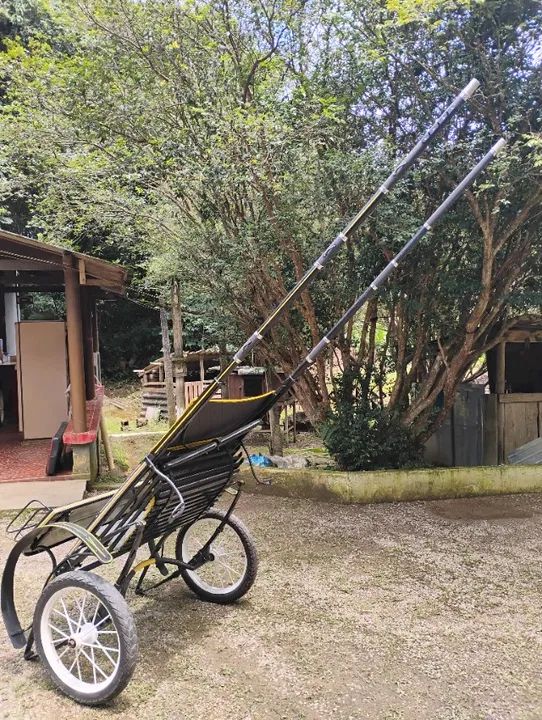 Charrete a venda  - Foto 3