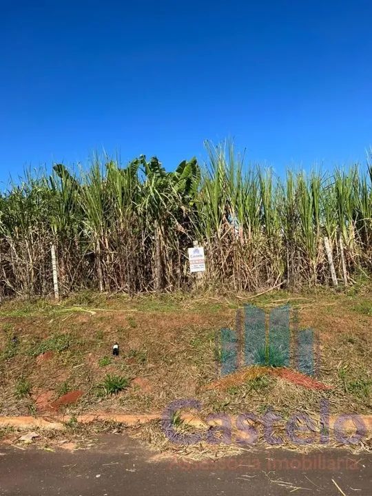 Terreno para Venda em Umuarama / PR no bairro Jardim Europa