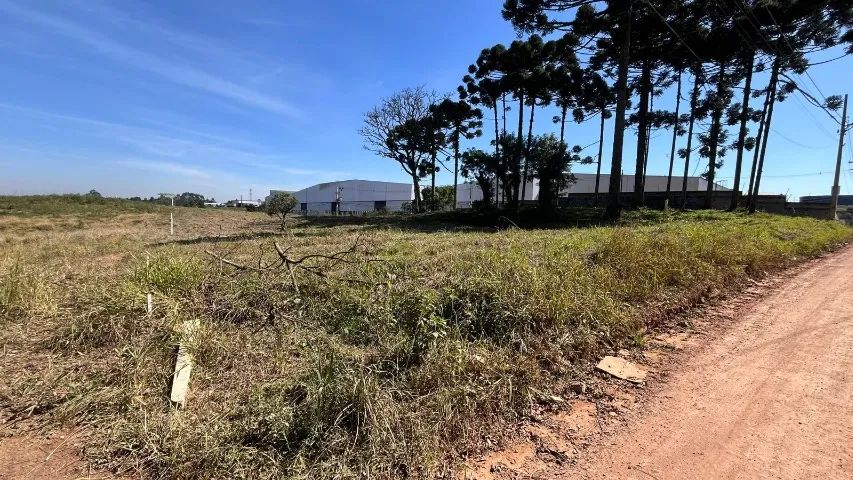 ÁREA EM SÃO JOSÉ DOS PINHAIS  - Foto 5