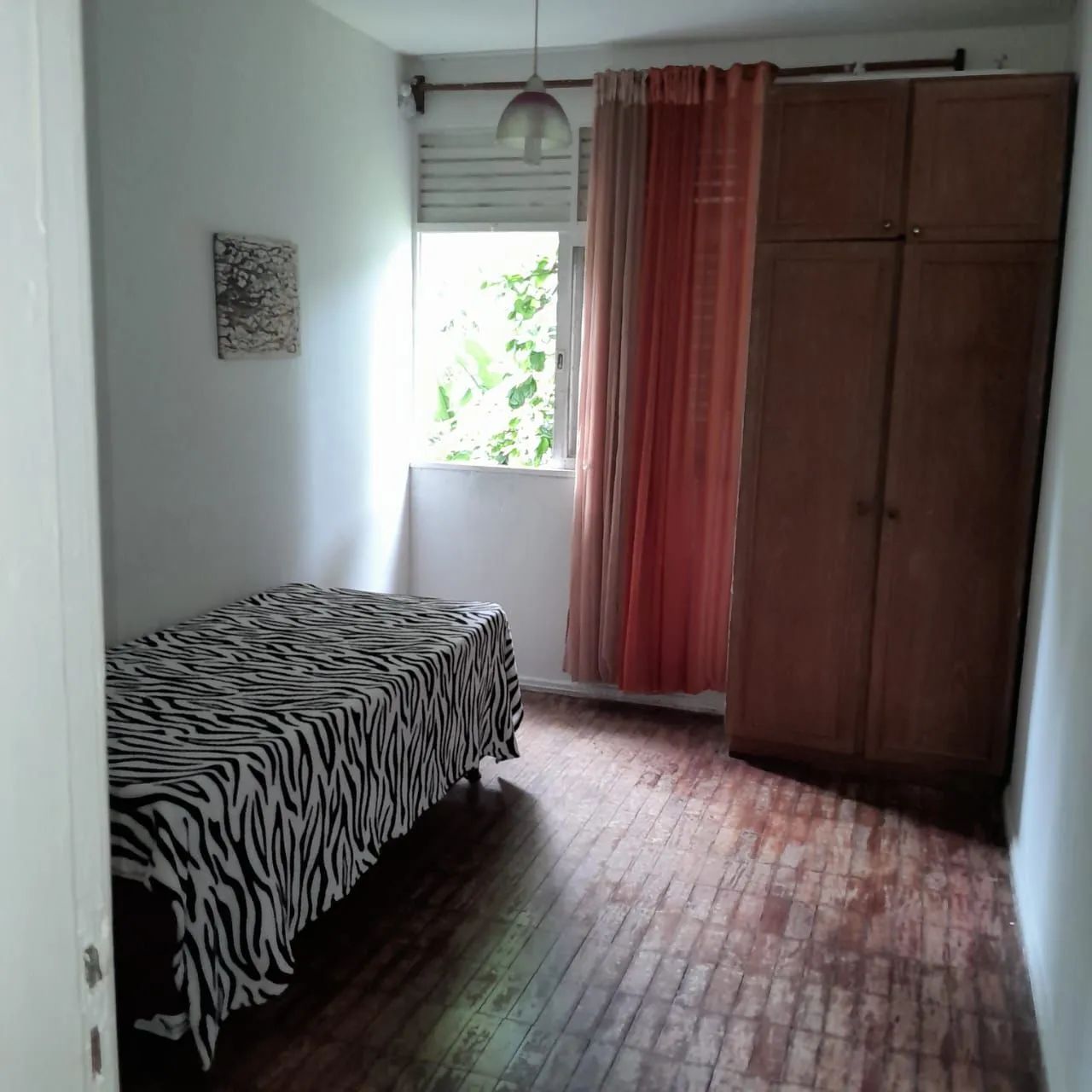 Foto - Salvador - Canela