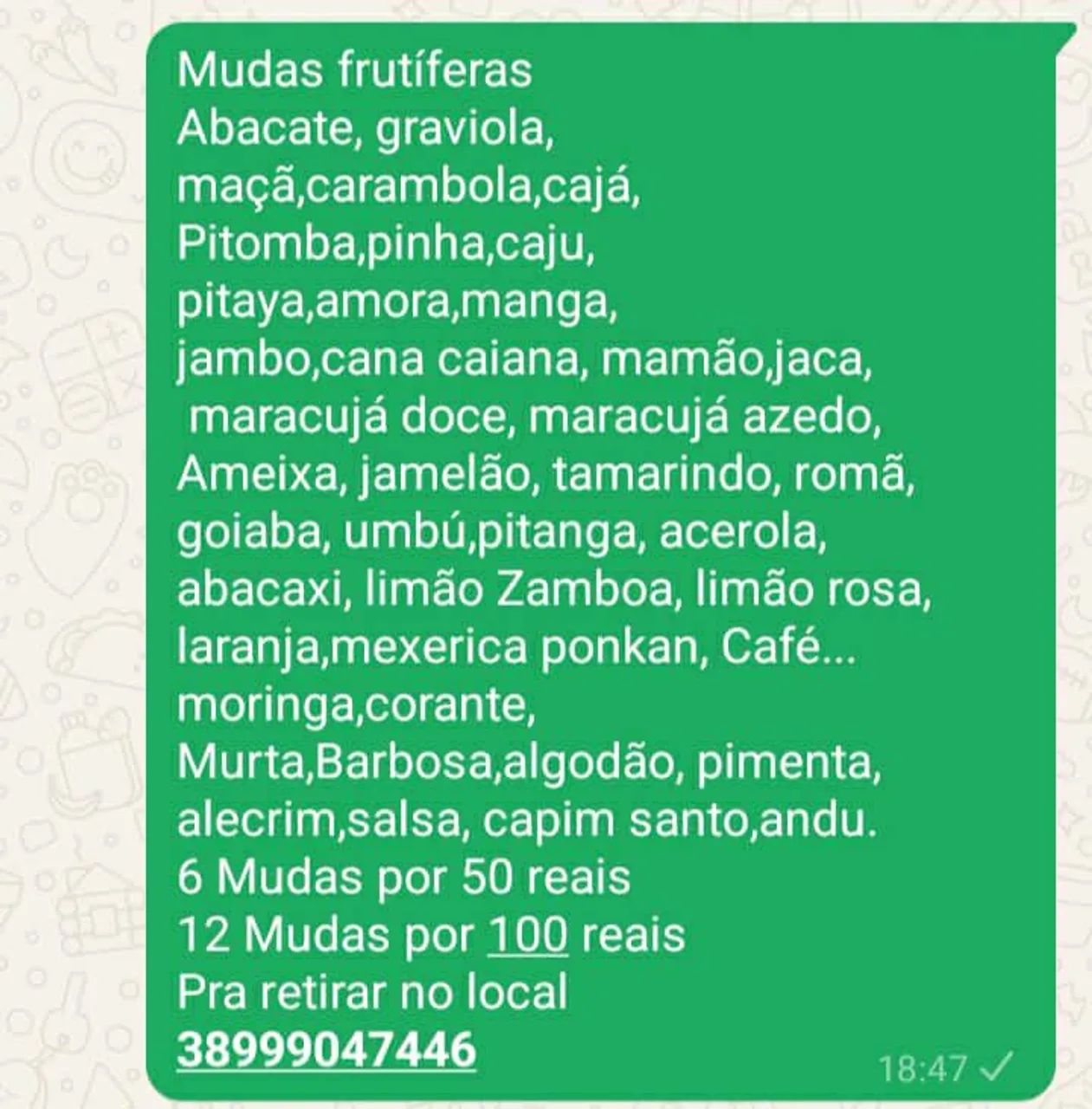 12 Mudas por 100 reais 