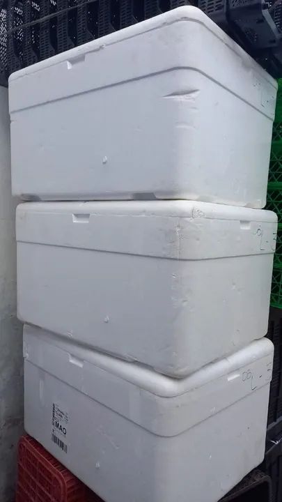 Caixa de Isopor para Transporte de Produtos - Foto 2