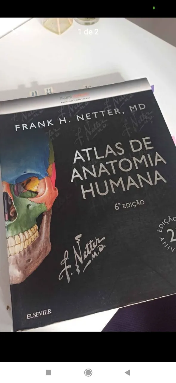 Atlas de Anatomia Humana - Netter - 6ª Edição