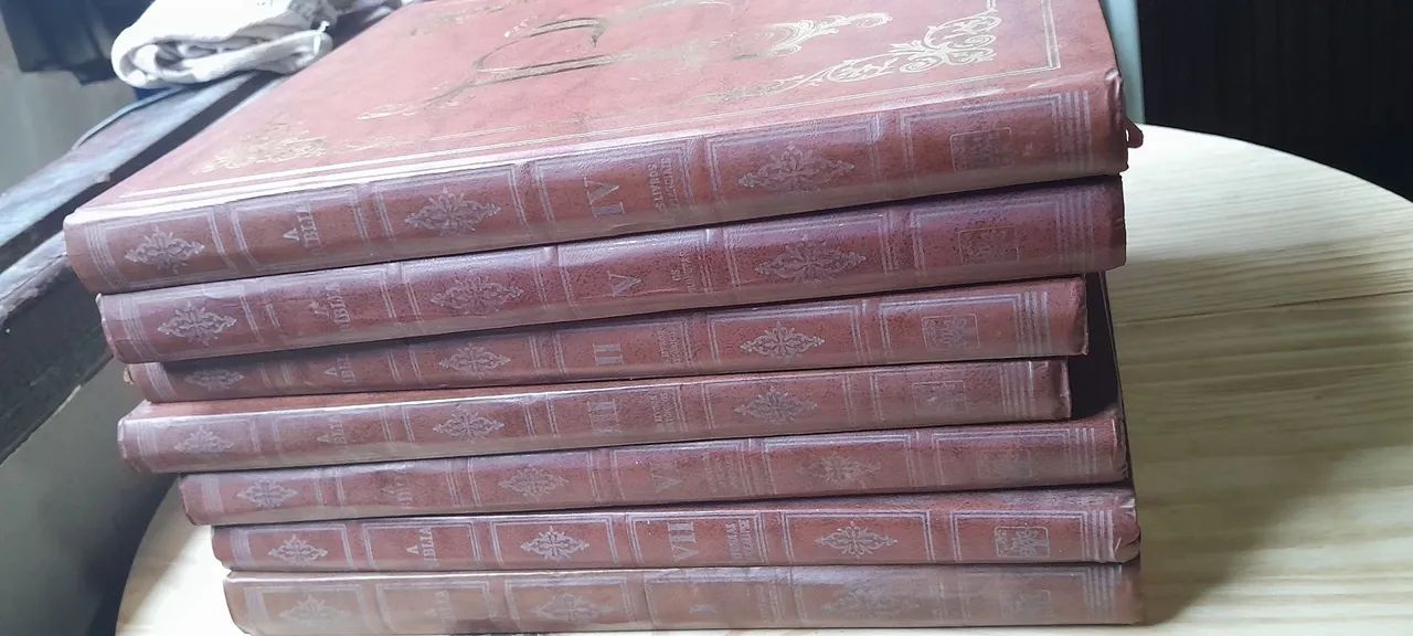 Biblia ilustrada católica de luxo todos os volumes  - Foto 3