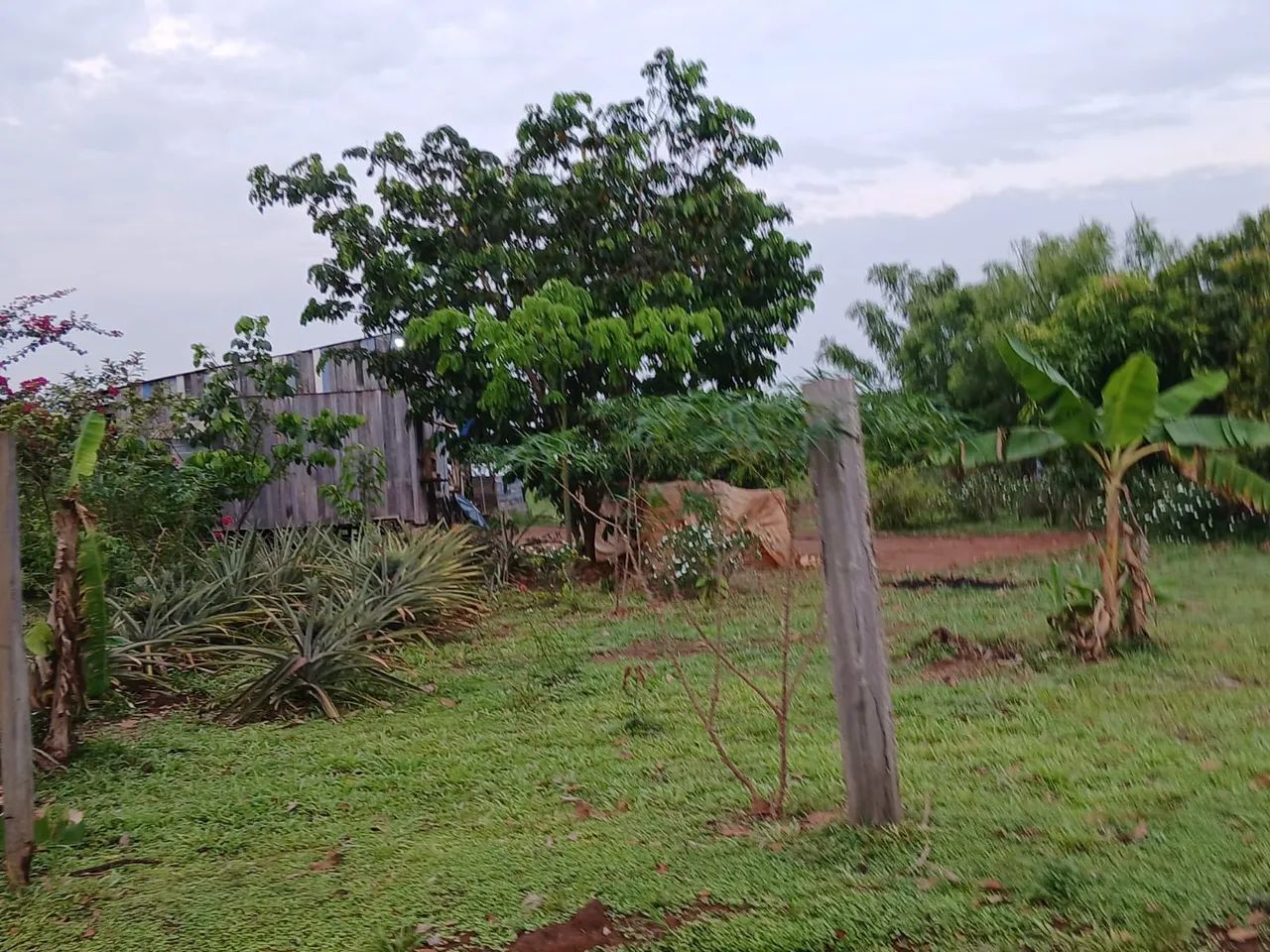 Chácara Terra Prometida - Foto 4