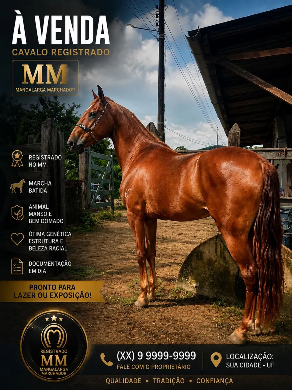 Cavalo Mangalarga 