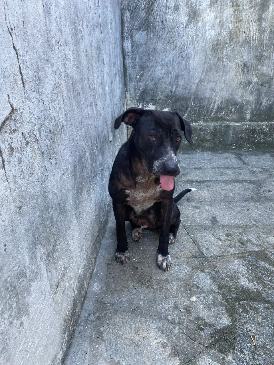 Doação  - Foto 2