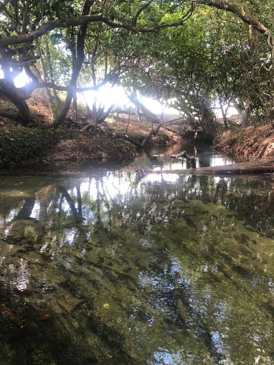 Vende-se banho no água boa de cima  - Foto 2
