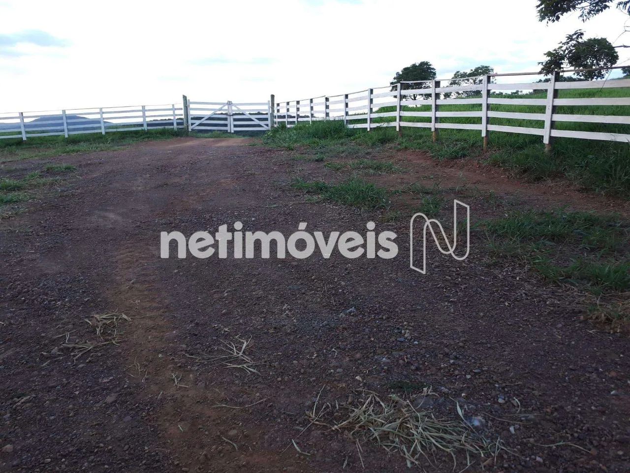 Venda Fazenda Mata do Cachorro Onça de Pitangui - Foto 5