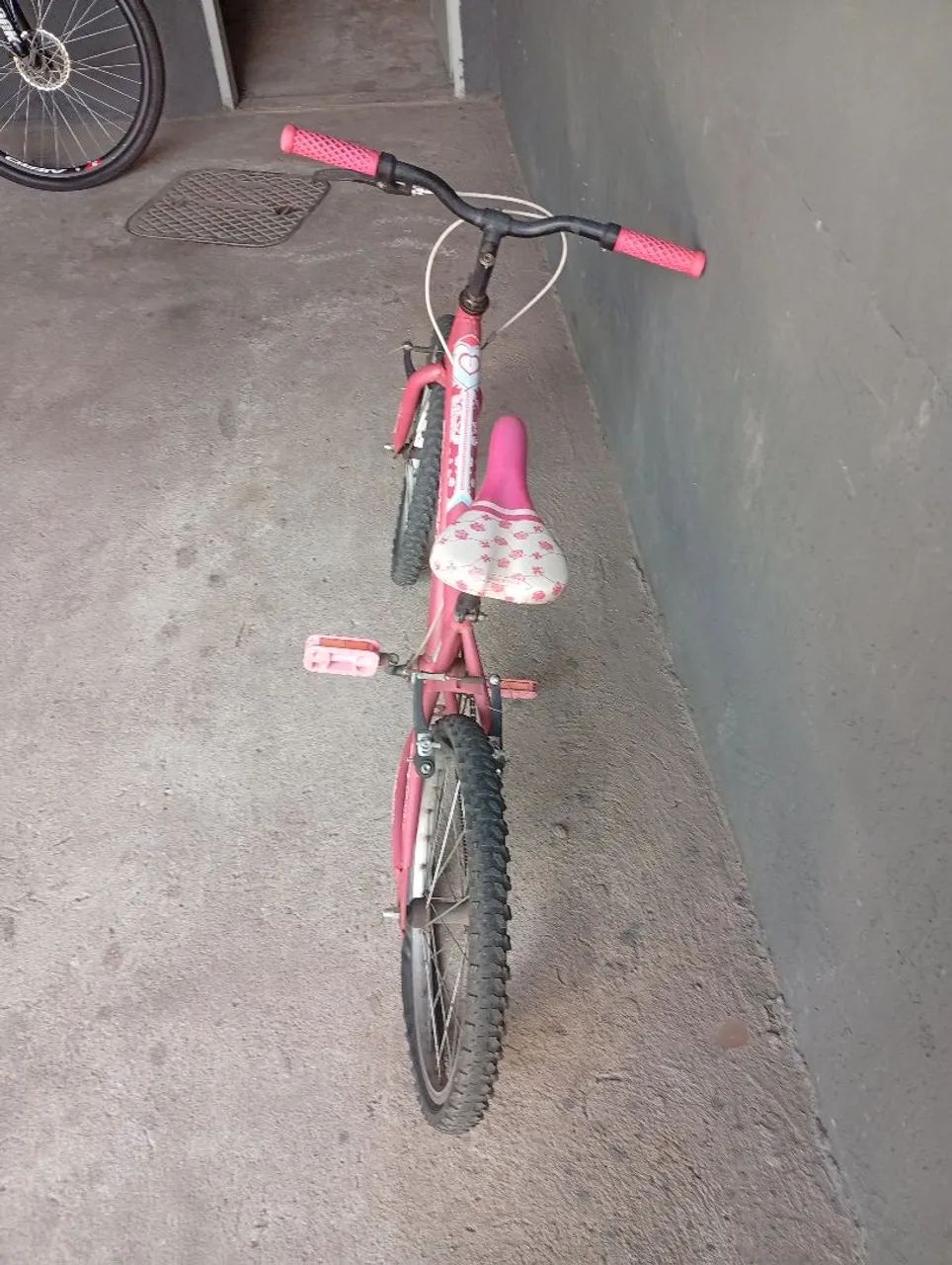 Bicicleta infantil aro 20
