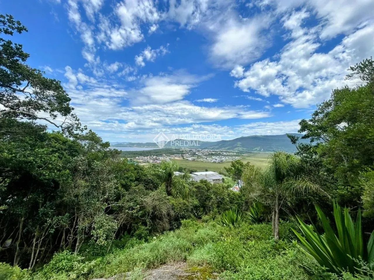 TERRENO A VENDA - Foto 4