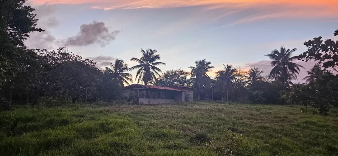 Sítio com Campo de Futebol em Alcaçuz  - Foto 4