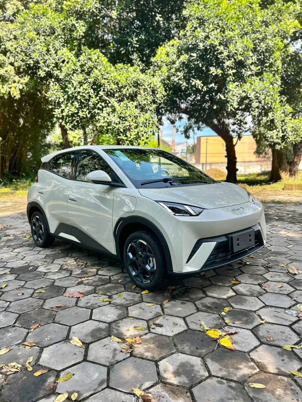 BYD Dolphin Mini (Elétrico) 2027 - Foto 2