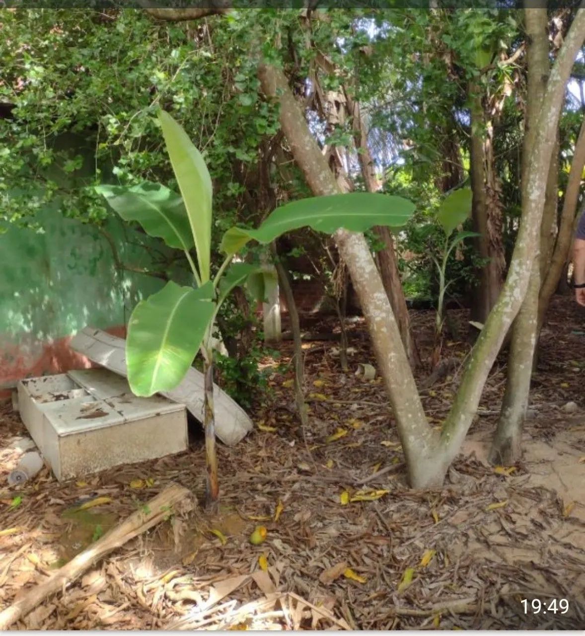 Venda de Terreno - Foto 5