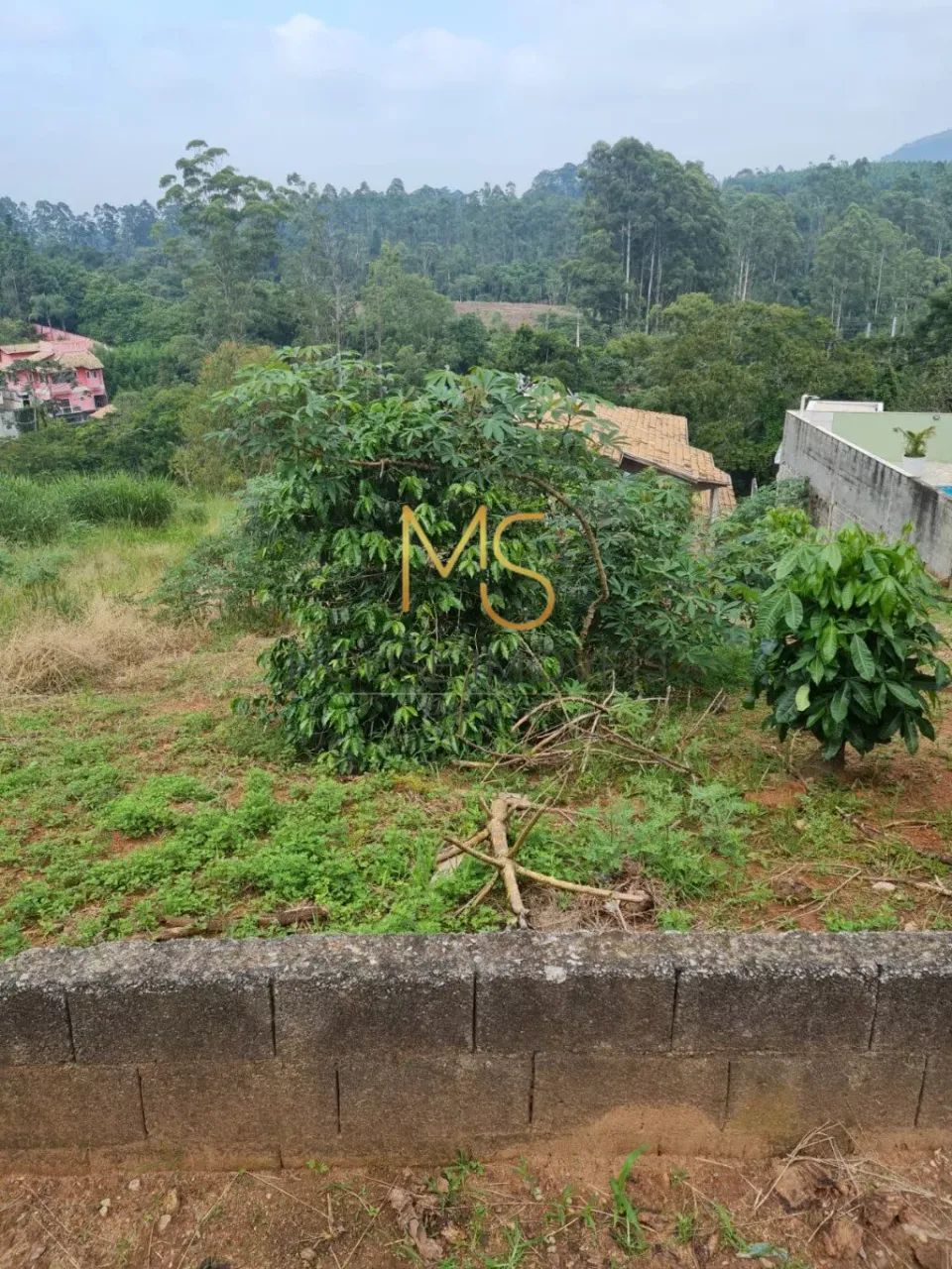 Terreno para venda, Nova Caieiras, Caieiras - Foto 2