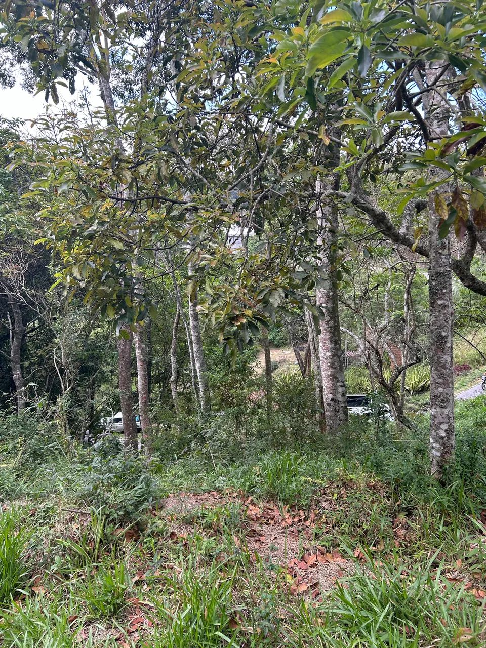 Vende-terreno-caxambu-PetrópolisRJ - Foto 2