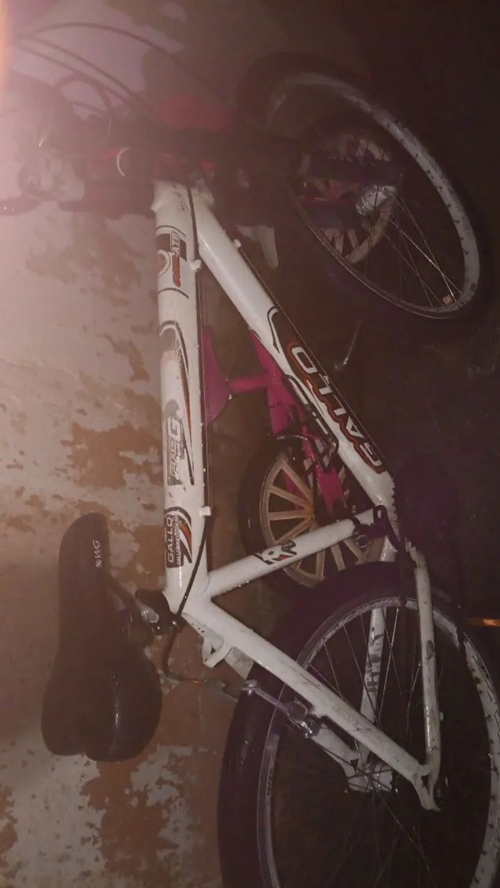 Bicicleta  - Foto 2
