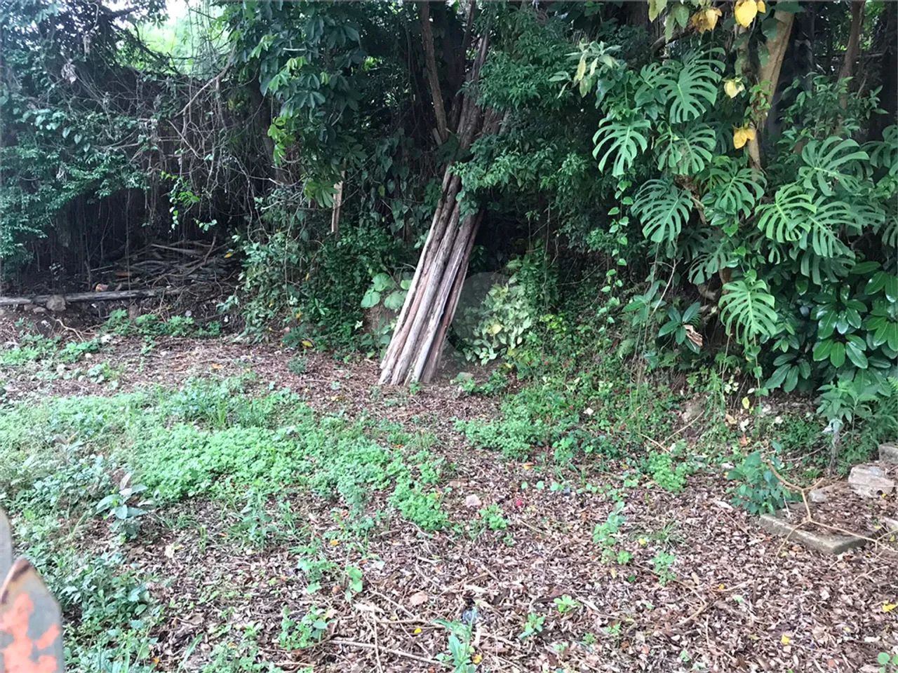 Terreno à venda em Horto florestal - SP