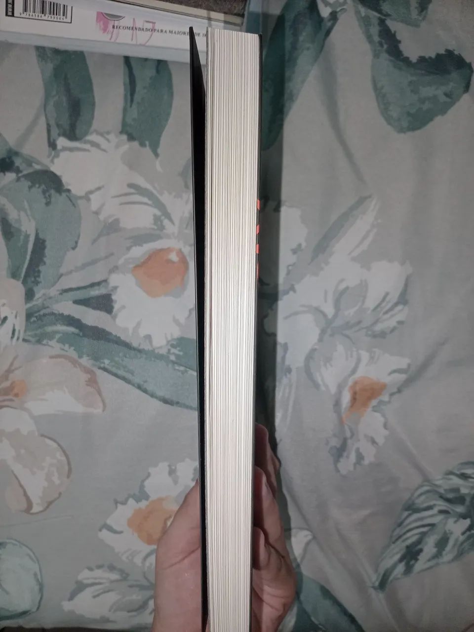 Livro acerto de contas - Foto 4