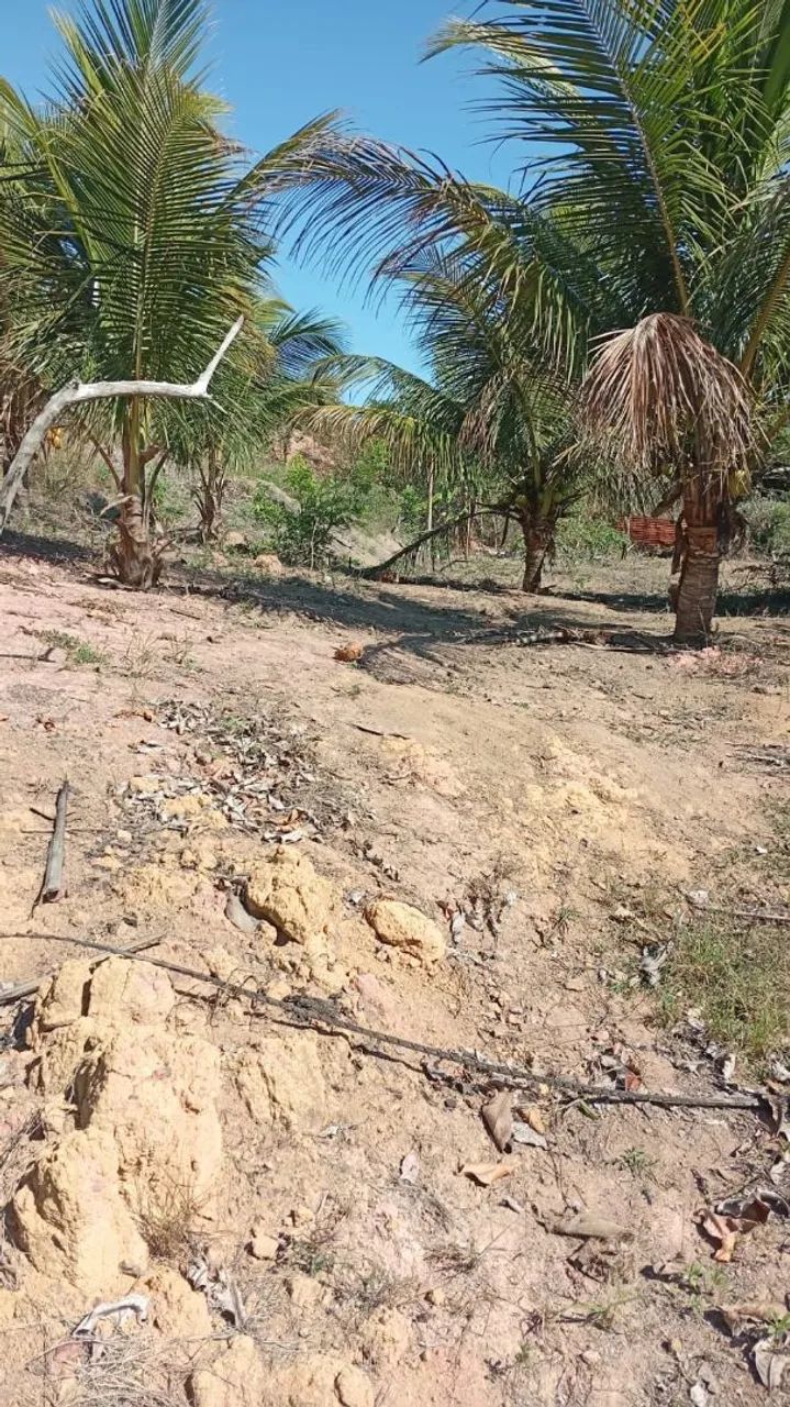 WCM - Chacara Praia da Baleia Vila Velha 300.000,00 - Foto 5