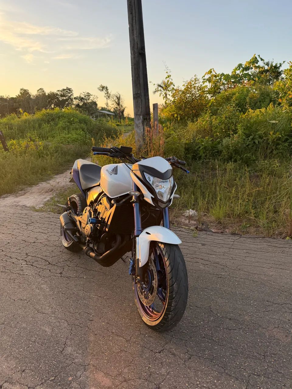 HORNET 600 Única 