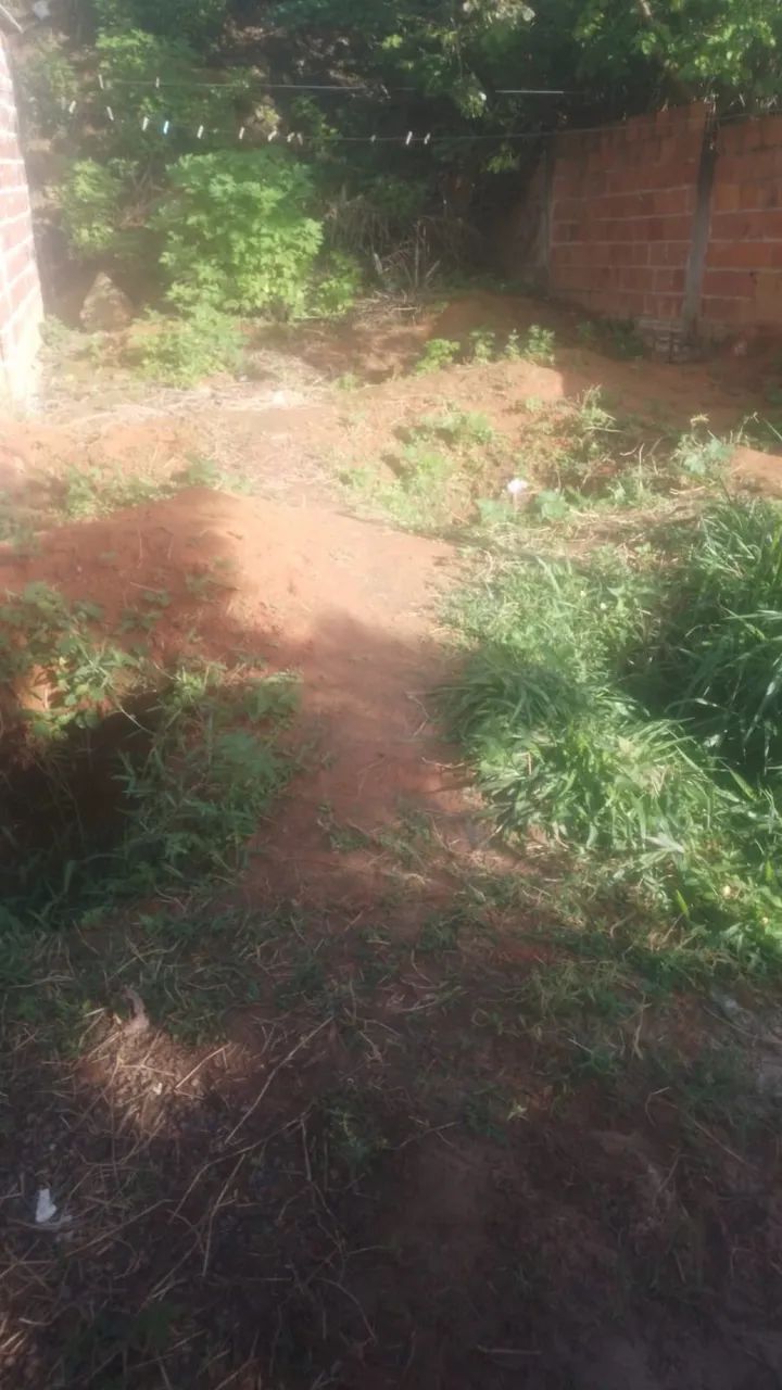 Vendo terreno em vida nova