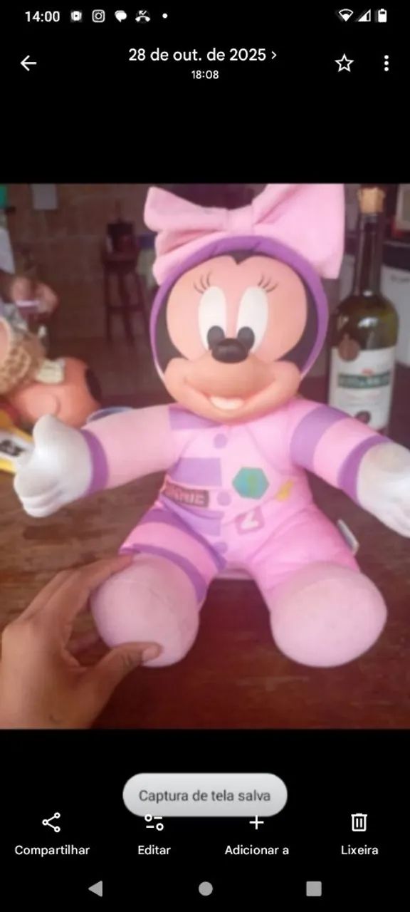 Boneco