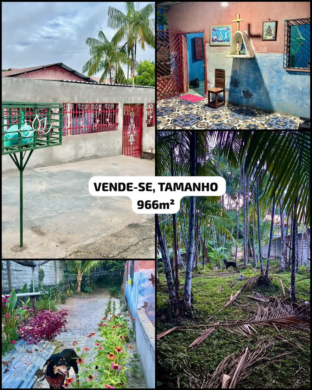 CASA A VENDA , NÃO TROCO , AVISTA  - Foto 2