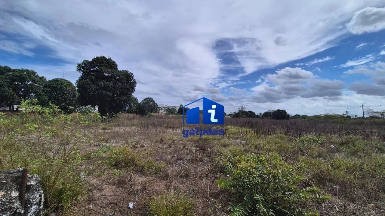 Terreno com 20.000 m² em setor comercial em Carpina - PE - Foto 4