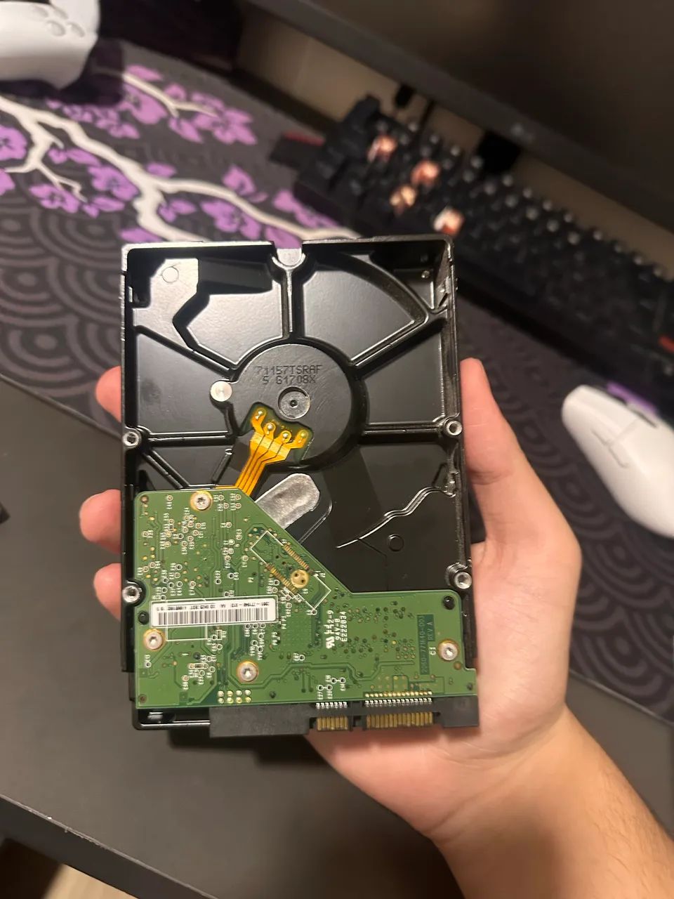 hd 500gb 440254852529530881