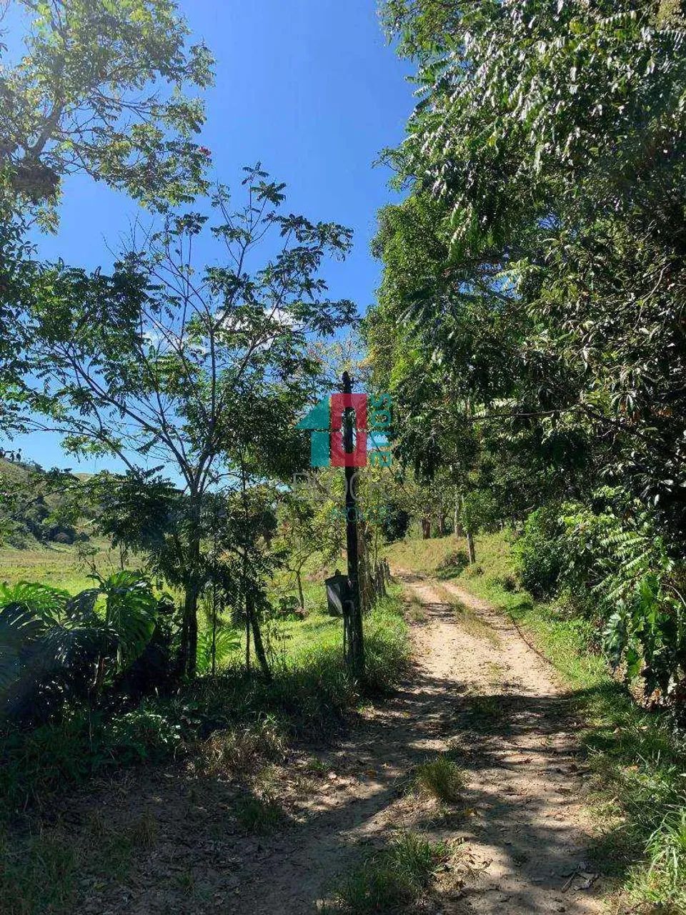 Piraí | Fazenda 4 quartos - Foto 3