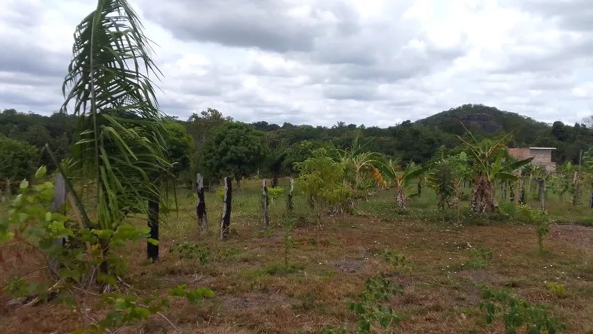 TERRENO DE CHÁCARA 2.000 M2 - S/ BENFEITORIAS - Foto 3